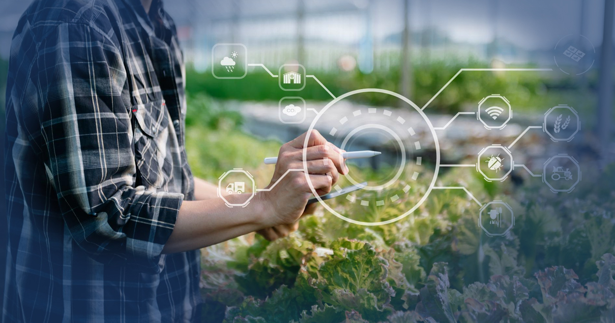 Farm Accounting